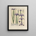 Iris of Spain - Maurice Pillard Verneuil — framed artwork on a wall
