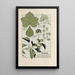 Ivy - Maurice Pillard Verneuil — framed artwork on a wall