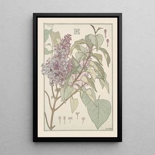 Maurice Pillard Verneuil - Lilas.webp