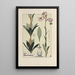 Lis Martagon - Maurice Pillard Verneuil — framed artwork on a wall