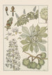 Marronnier - Maurice Pillard Verneuil — artwork view