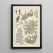 Marronnier - Maurice Pillard Verneuil — framed artwork on a wall