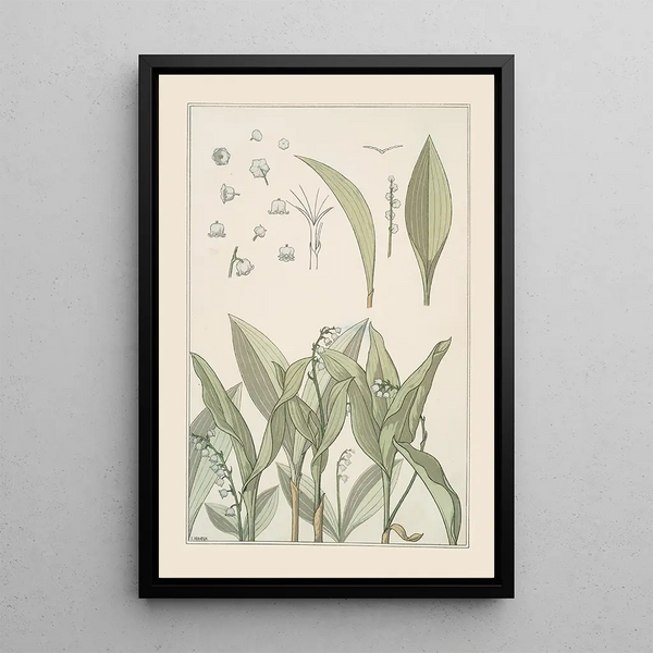 Lily of the valley - Maurice Pillard Verneuil — framed artwork on a wall