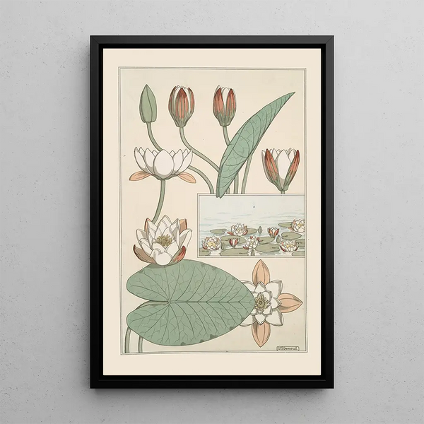 Water Lily - Maurice Pillard Verneuil — framed artwork on a wall