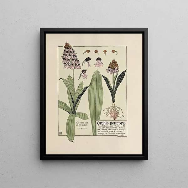 Purple Orchid - Maurice Pillard Verneuil — framed artwork on a wall