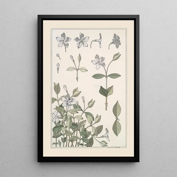Pervenche - Maurice Pillard Verneuil — framed artwork on a wall