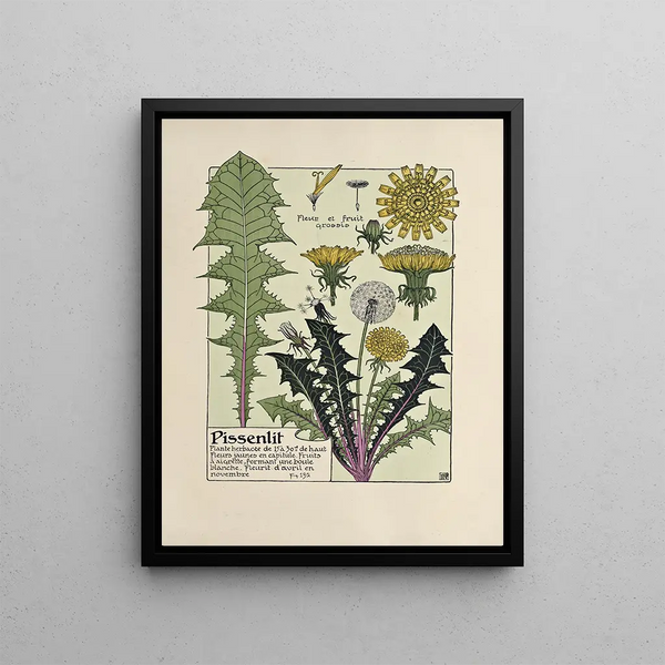 Dandelion - Maurice Pillard Verneuil — framed artwork on a wall