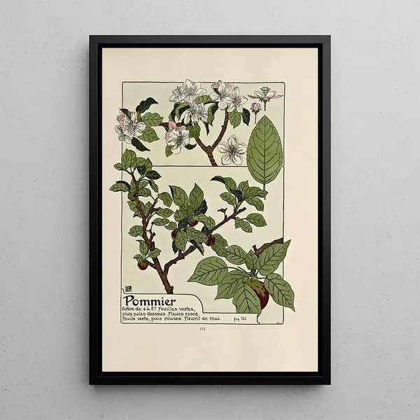 Pommier - Maurice Pillard Verneuil — framed artwork on a wall