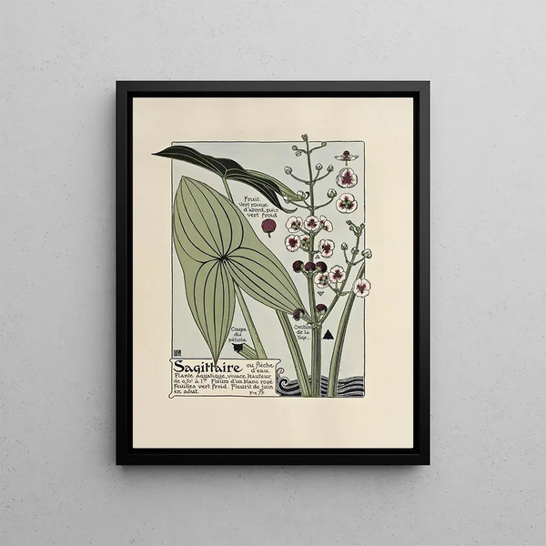 Sagittarius Painting - Maurice Pillard Verneuil — framed artwork on a wall