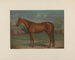 La reine des courses de trot - Maurice Scanlan — artwork view