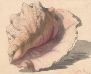 Schelp - Maurits van der Valk — artwork view