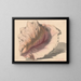 Schelp - Maurits van der Valk — framed artwork on a wall