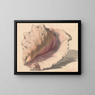 Schelp - Maurits van der Valk — framed artwork on a wall