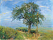 Harvest of Fruits in the Palatinate The Pear Tree - Max Slevogt — artwork view
