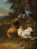 Chickens and Pigeons in a Landscape - Melchior d'Hondecoeter — artwork view