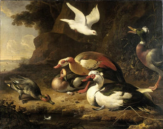 Canards - Melchior d'Hondecoeter — artwork view