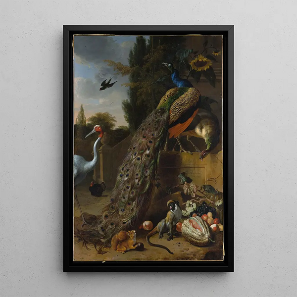 Peacocks - Melchior d'Hondecoeter — framed artwork on a wall