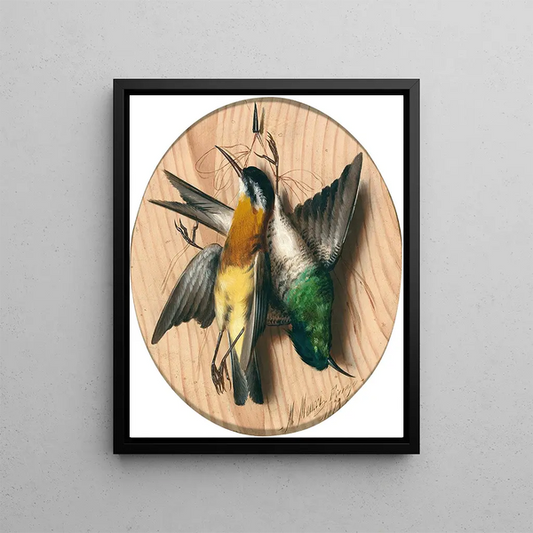 Trompe-l'œil songbirds - Michelangelo Meucci — framed artwork on a wall