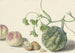 Calebasse, deux pêches et une noix - Michiel van Huysum — artwork view