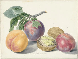 Nature morte avec des fruits - Michiel van Huysum — artwork view
