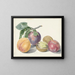 Nature morte avec des fruits - Michiel van Huysum — framed artwork on a wall