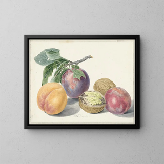 Nature morte avec des fruits - Michiel van Huysum — framed artwork on a wall