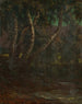 Forest - Milan Thomka Mitrovský — artwork view
