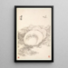 Cat and Butterfly - Min Zhen — framed artwork on a wall