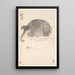 Elephant, horse and hare - Min Zhen — framed artwork on a wall