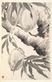 Peaches - Min Zhen — artwork view