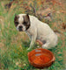 My Dog - Karl Georg Arsenius — artwork view