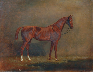 Portrait of a saddle horse - Monogrammiste A G — artwork view