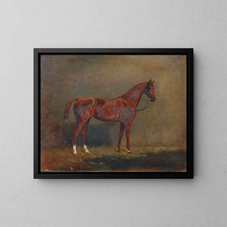 Portrait of a saddle horse - Monogrammiste A G — framed artwork on a wall