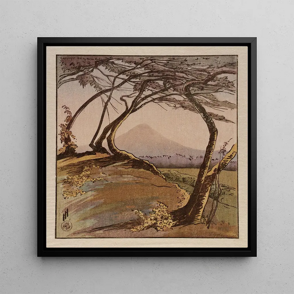 Mont Orizaba - Helen Hyde — framed artwork on a wall