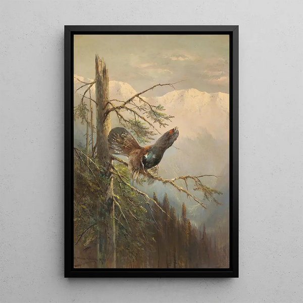 Grand tétras en parade - Moritz Müller — framed artwork on a wall