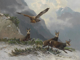 Chamois in the High Mountains - Moritz Müller — artwork view
