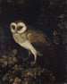 An owl - Moses Haughton — artwork view