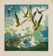 Seagulls and spray - Eva Auld Watson — artwork view