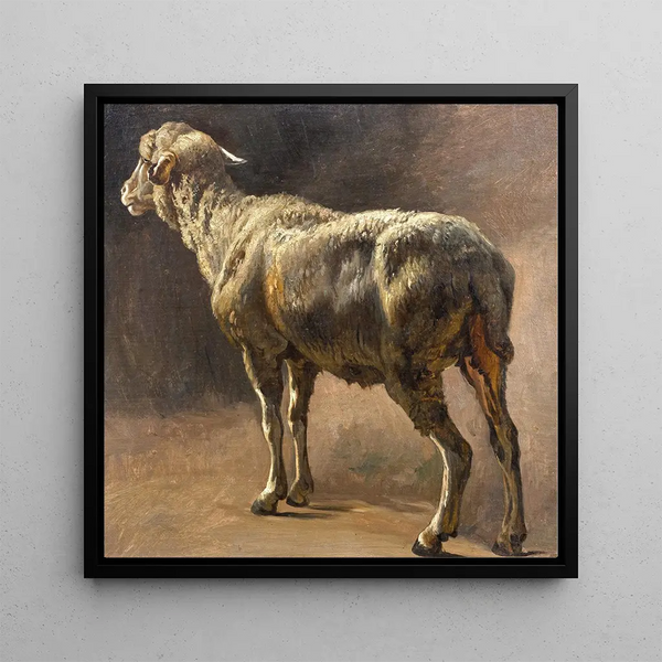 Sheep - Christian Mali — framed artwork on a wall