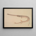 Fish Needle Yagara - Nakajima Raishō — framed artwork on a wall