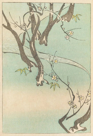 Nakayasu Shinzabur - Shin zuan Pl06.webp