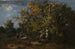 a Peasant Painting in the autumn forest - Narcisse Virgile Diaz de la Peña — artwork view