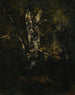 Old Beech Trunks - Narcisse Virgile Diaz de la Peña — artwork view