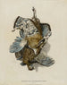 American Partridge Feather Painting - Nathaniel Currier — artwork view