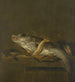 Still life with a haddock and a red gurnard - Jan Vonck — artwork view