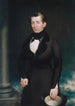 James Merrill Cook - Nelson Cook — artwork view