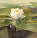 Sunlit Water Lily Painting - John La Farge — artwork view