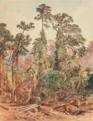 Nicholas Chevalier - Untitled Bush Tramway Pigeons Bush.webp