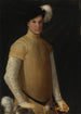 Portrait of a Young Man - Niccolò dell'Abate — artwork view