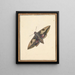 A moth - Nicolaas Struyk — framed artwork on a wall